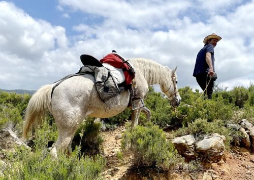 Gibraltar-Atlantik Naturparkritt (8 Tage)