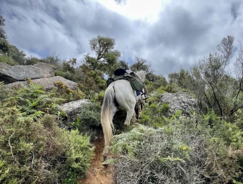 Gibraltar-Atlantik Naturparkritt (8 Tage)