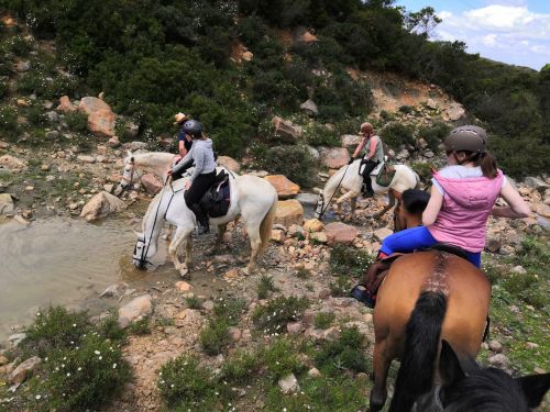 Gibraltar-Atlantik Naturparkritt (8 Tage)