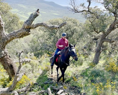 Gibraltar-Atlantik Naturparkritt (8 Tage)