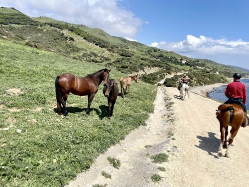 Gibraltar-Atlantik Naturparkritt (8 Tage)