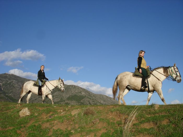 Rancho La Paz - Andalusiergestüt