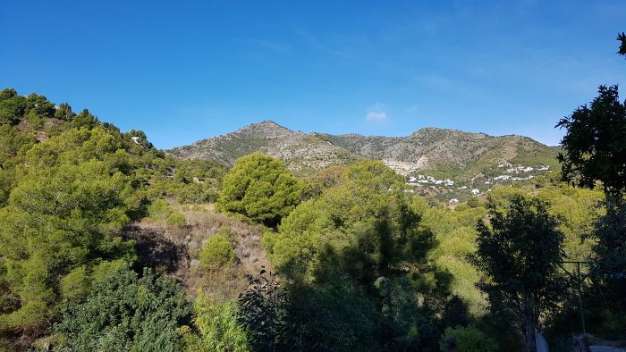 Rancho La Paz - Andalusiergestüt