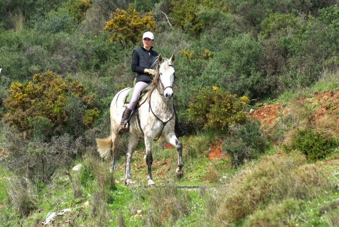 Rancho La Paz - Andalusiergestüt