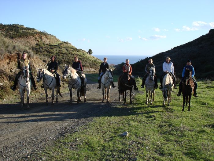 Rancho La Paz - Andalusiergestüt