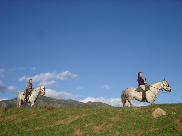 Rancho La Paz - Andalusiergestüt