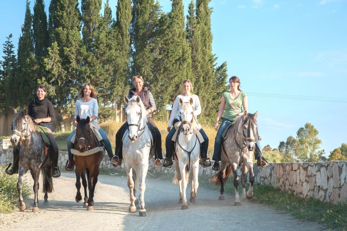 Rancho La Paz - Andalusiergestüt