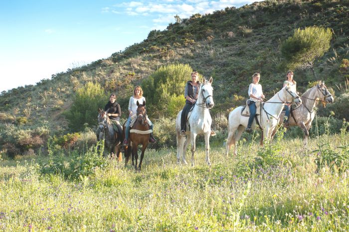 Rancho La Paz - Andalusiergestüt