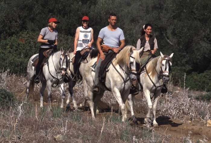 Rancho La Paz - Andalusiergestüt