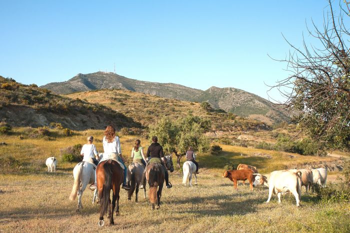 Rancho La Paz - Andalusiergestüt