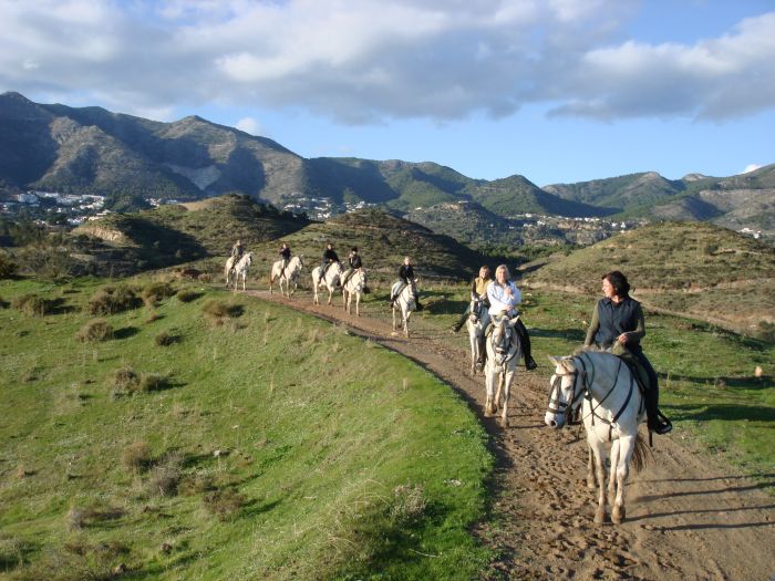 Rancho La Paz - Andalusiergestüt