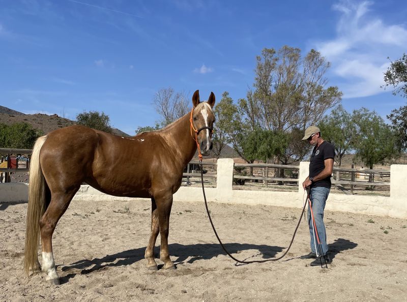 Cabo de Gata Sternritte