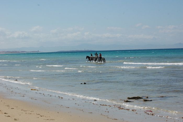 Reiturlaub Tarifa