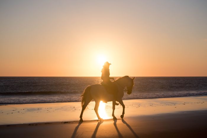 Reiturlaub Tarifa