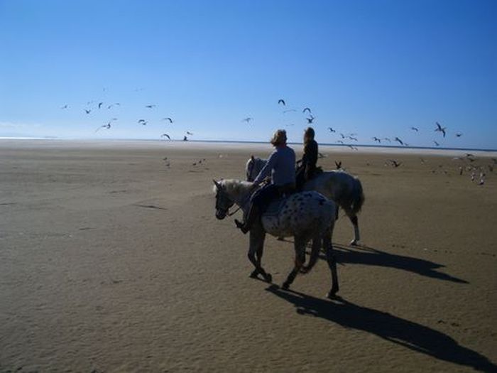 Reiturlaub Tarifa