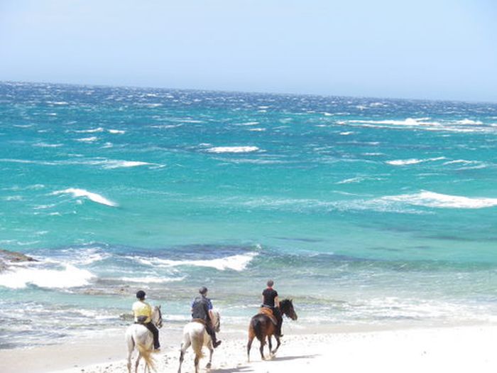 Reiturlaub Tarifa