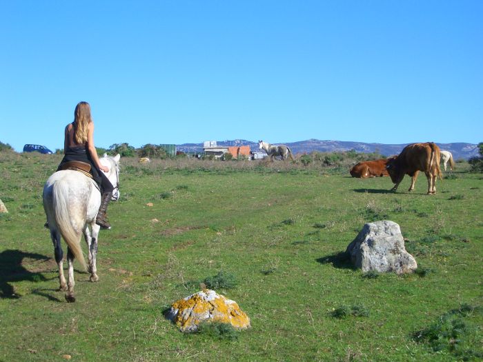 Reiturlaub Tarifa