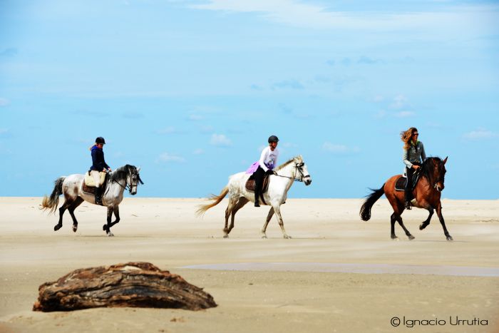 Reiturlaub Tarifa