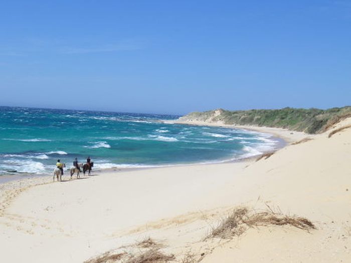 Reiturlaub Tarifa