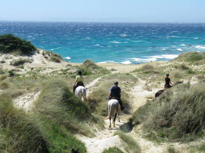 Reiturlaub Tarifa