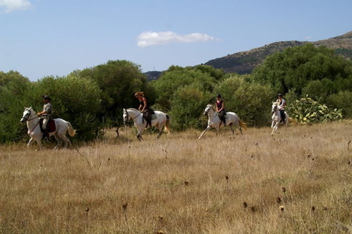 Reiturlaub Tarifa