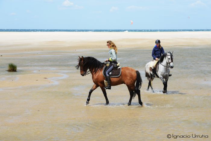 Reiturlaub Tarifa