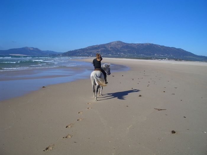 Reiturlaub Tarifa