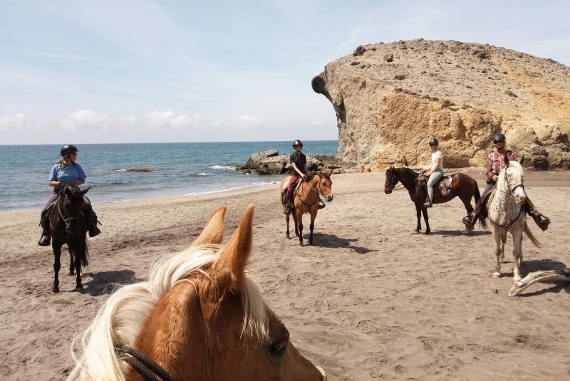 Cabo de Gata & Tabernas Trail