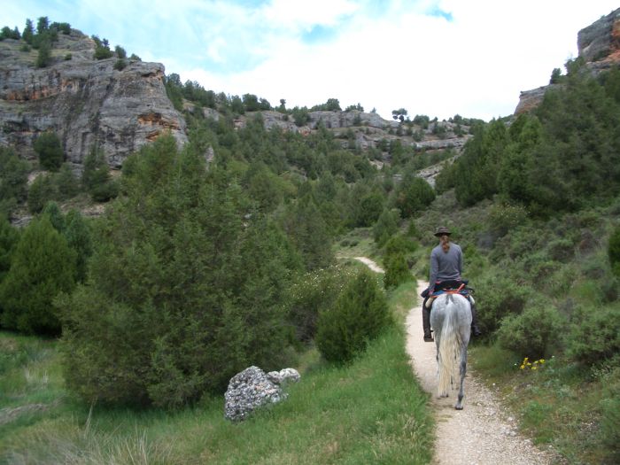 Burgos Arlanza-Tal