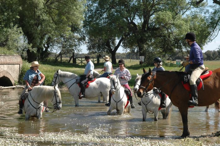 Conquistadores Ritt & Schätze der Extremadura