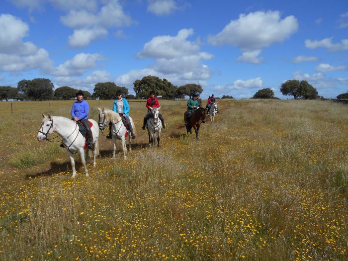 Conquistadores Ritt & Schätze der Extremadura