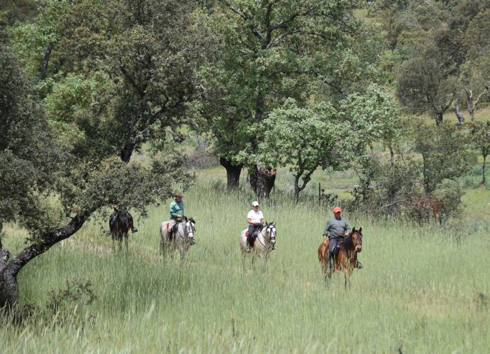 Conquistadores Ritt & Schätze der Extremadura