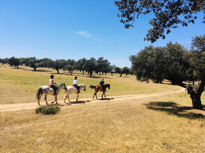 Conquistadores Ritt & Schätze der Extremadura