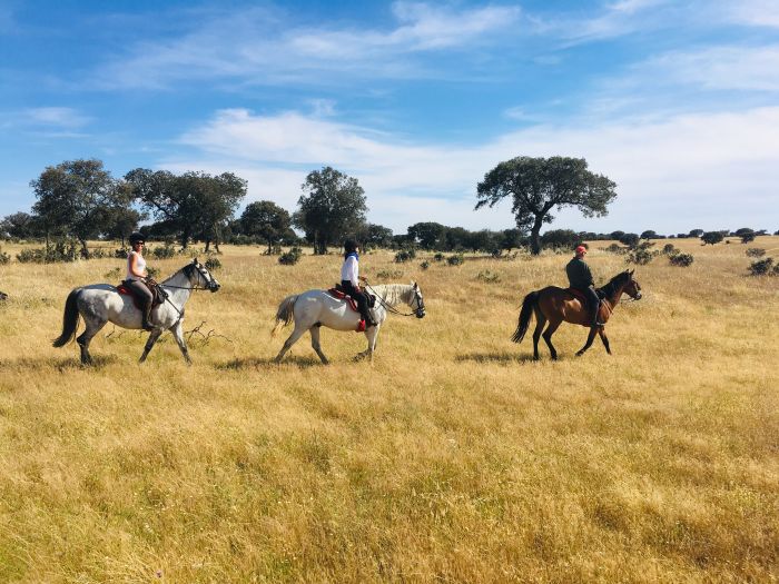 Conquistadores Ritt & Schätze der Extremadura