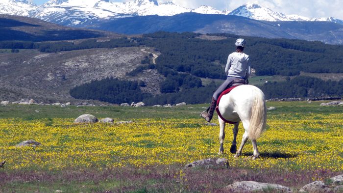 Gredos Reittouren