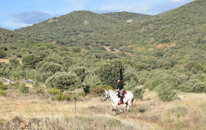 Gredos Reittouren