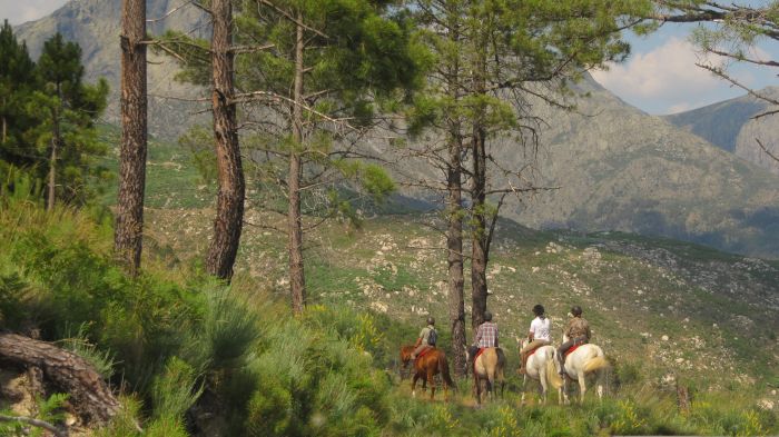 Gredos Reittouren