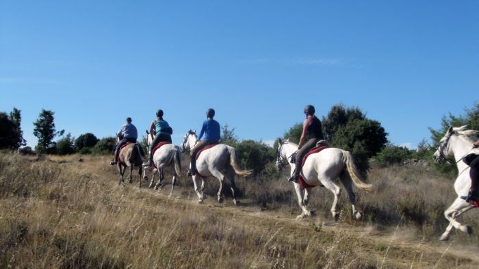 Gredos Reittouren