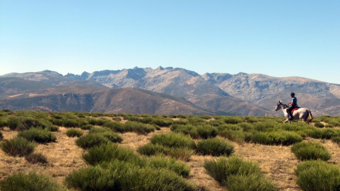 Gredos Reittouren