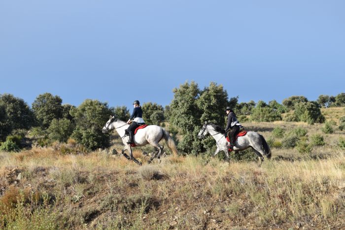 Gredos Reittouren