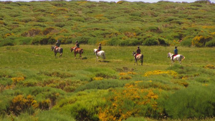 Gredos Reittouren