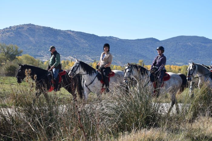 Gredos Reittouren