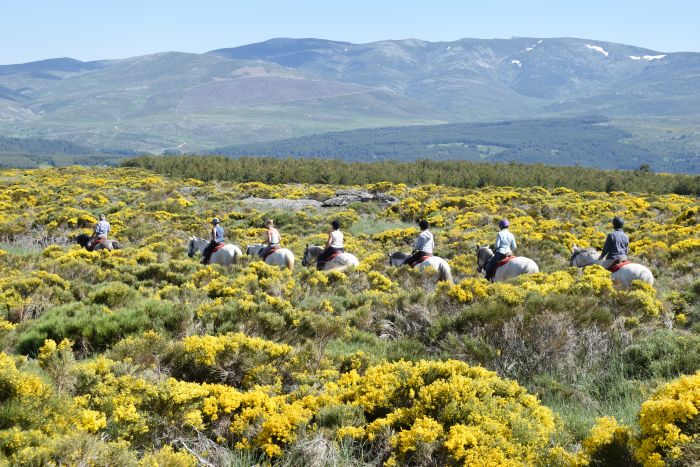 Gredos Reittouren