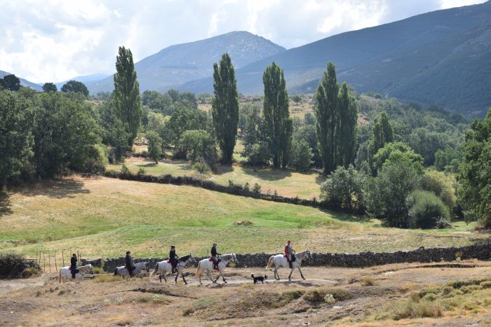 Gredos Reittouren