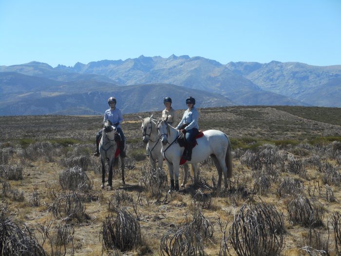 Gredos Reittouren