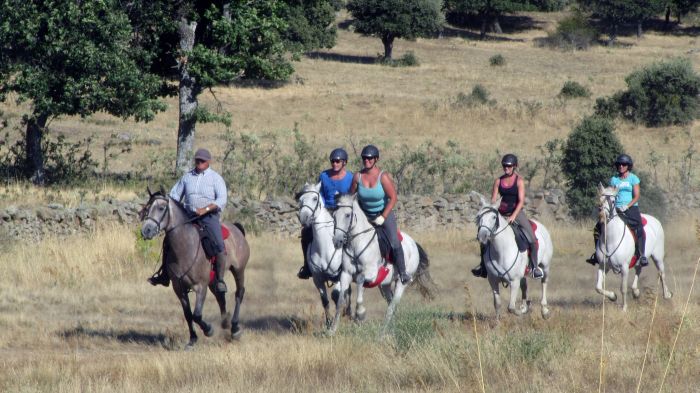 Gredos Reittouren