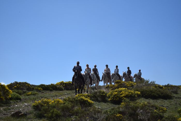 Gredos Reittouren