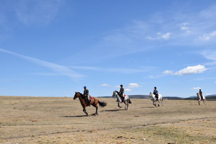 Gredos Reittouren