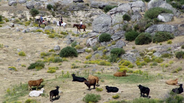 Gredos Reittouren