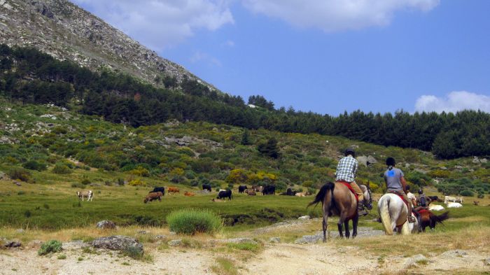 Gredos Reittouren